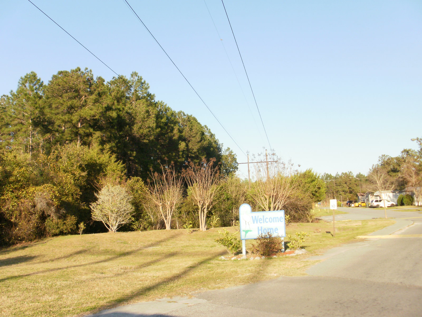 18 Acres of Land Camden